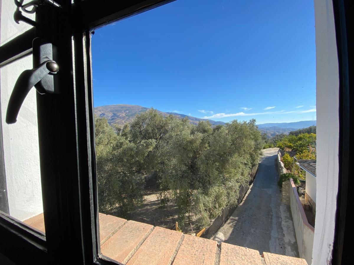Casa Limon Bed & Breakfast Pinos del Valle Luaran gambar