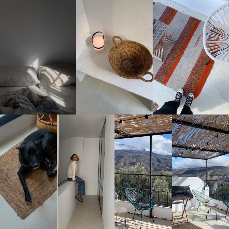 Casa Limon Bed & Breakfast Pinos del Valle Luaran gambar